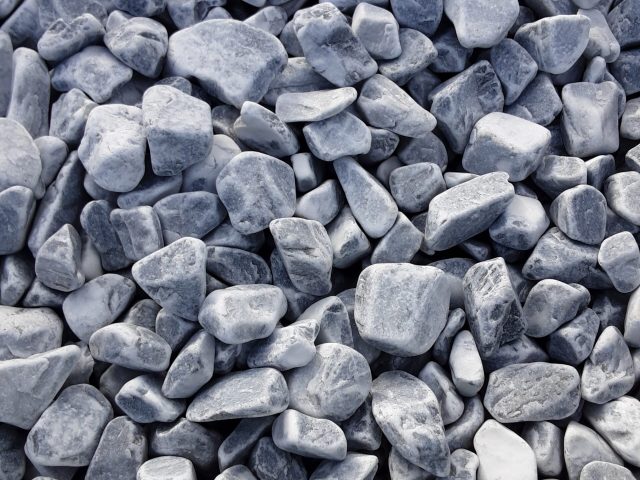 20220217_153818 copie